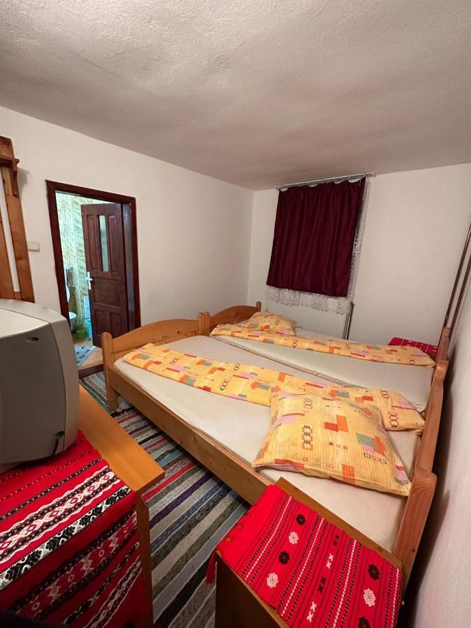 Casa Alex Villa Arieşeni Esterno foto